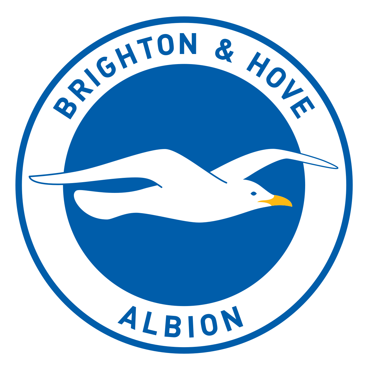 Brighton and Hove Albion logo